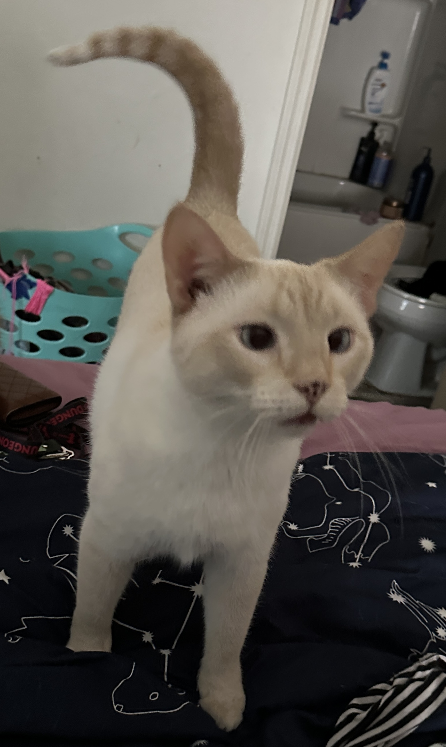 Photo of Yuki